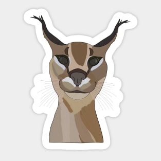 Zabloing Cat Meme Sticker